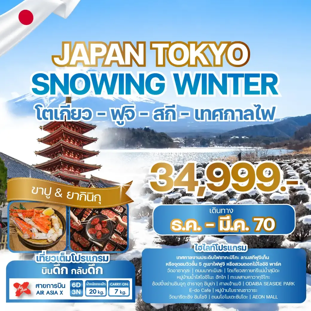ทัวร์ญี่ปุ่น JAPAN TOKYO SNOWING WINTER  6วัน 3คืน (XJ)